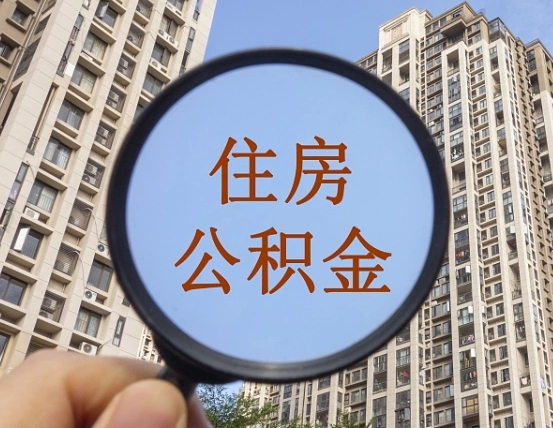 舞钢退休后查不到公积金明细了吗（退休后公积金查询不到原因）